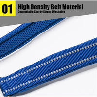 Reflective Padded Dog Leash – 3M Mesh Handle | PuppyPaw™