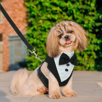 Dog Tuxedo Suit – Formal Wear with Bowtie | PuppyPaw™