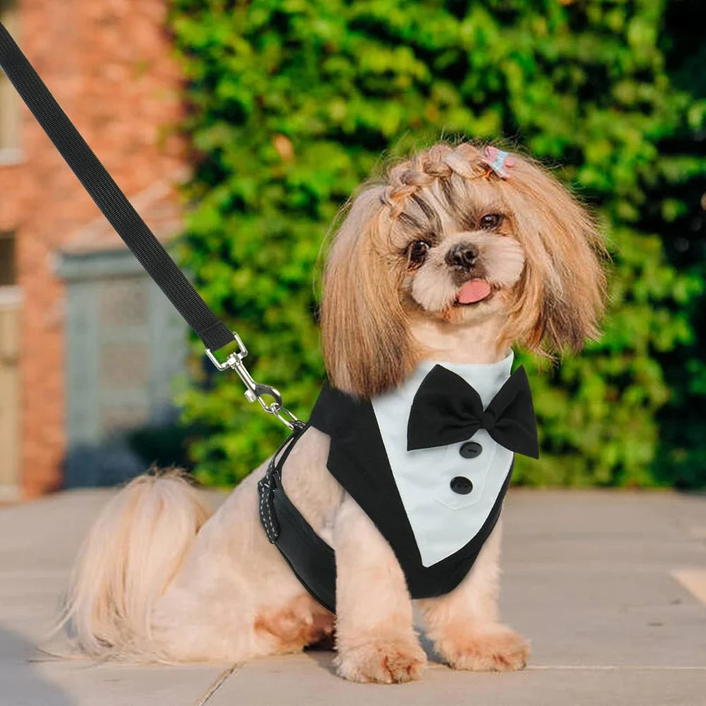 Dog Tuxedo Suit – Formal Wear with Bowtie | PuppyPaw™