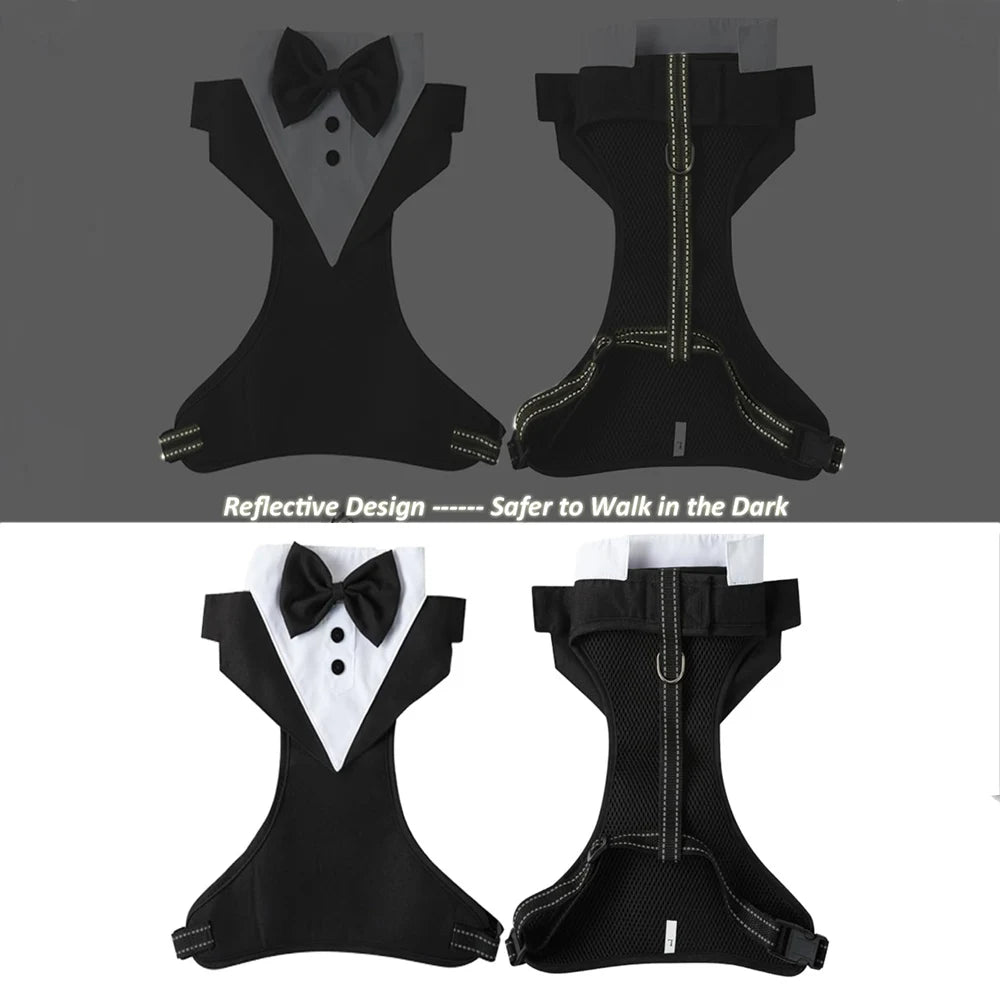 Dog Tuxedo Suit – Formal Wear with Bowtie | PuppyPaw™