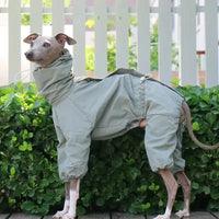 Dog Raincoat – Windproof Jacket for Whippets | PuppyPaw™