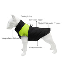 Windproof Waterproof Dog Jacket – D-Ring | PuppyPaw™