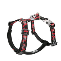 Trail Runner No-Pull Dog Harness – Neoprene Padded | PuppyPaw™