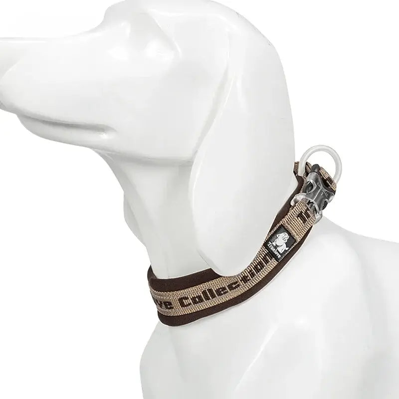 Reflective Nylon Dog & Cat Collar – Neoprene Padded | PuppyPaw™