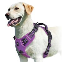 No-Pull Dog Vest Harness – Padded & Adjustable | PuppyPaw™