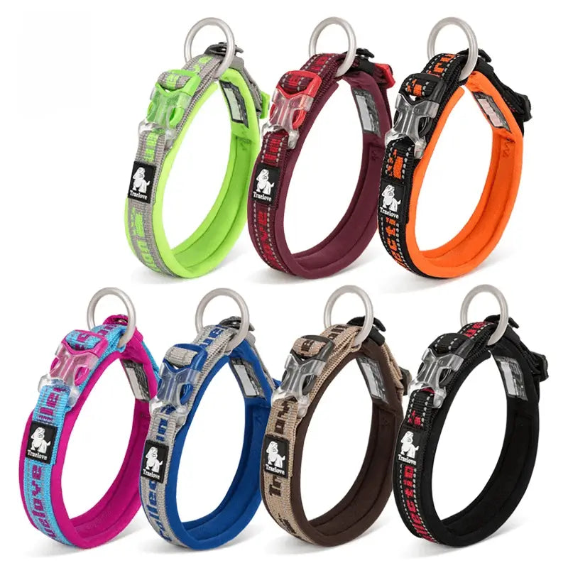 Reflective Nylon Dog & Cat Collar – Neoprene Padded | PuppyPaw™