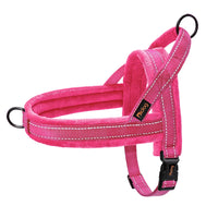 Padded Dog Harness Vest – Reflective Winter Warm | PuppyPaw™
