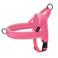 Padded Dog Harness Vest – Reflective Winter Warm | PuppyPaw™