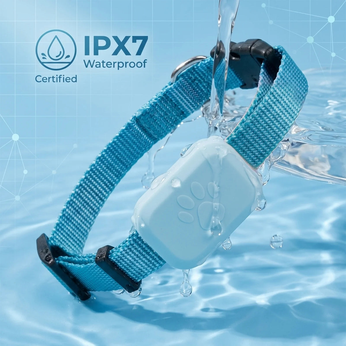 Waterproof GPS Pet Tracker – Real-Time Tracking | PuppyPaw™
