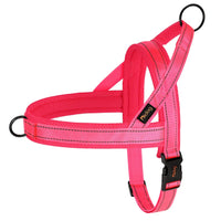 Padded Dog Harness Vest – Reflective Winter Warm | PuppyPaw™