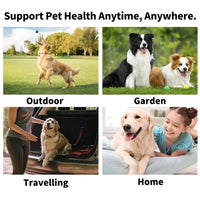 Pet Dental Cleaning Wipes – Finger Toothbrush | PuppyPaw™
