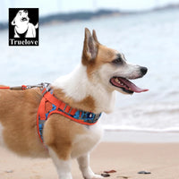 Step-In Dog Harness – Cooling Air-Mesh | PuppyPaw™