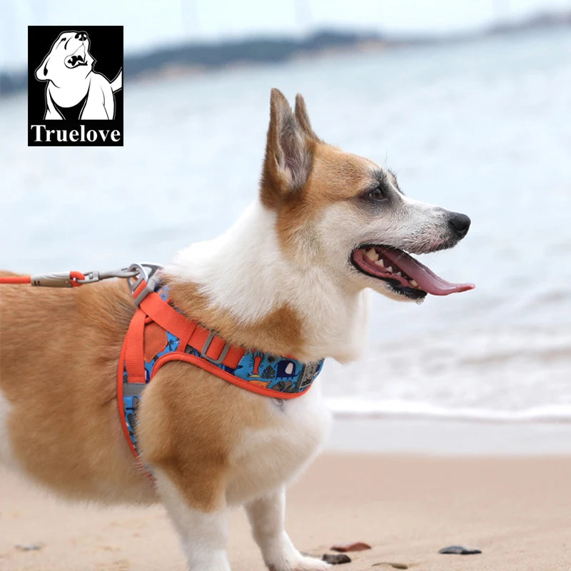 Step-In Dog Harness – Cooling Air-Mesh | PuppyPaw™