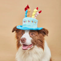 Adjustable Dog Party Hat – Birthday & Dress-Up | PuppyPaw™