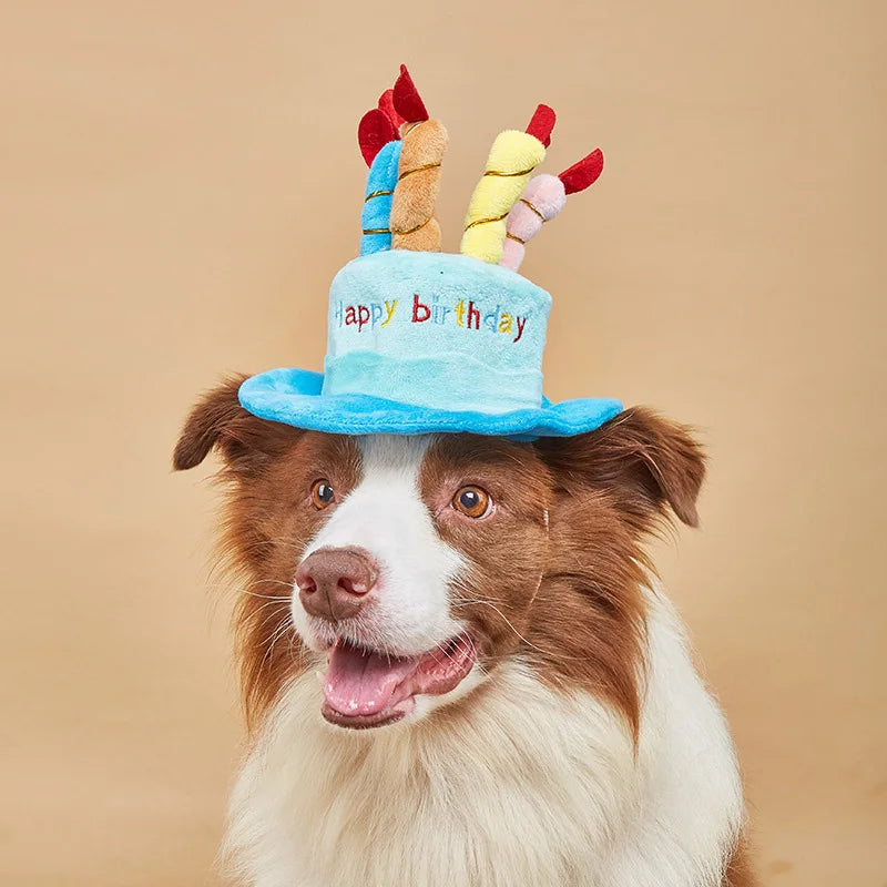 Adjustable Dog Party Hat – Birthday & Dress-Up | PuppyPaw™