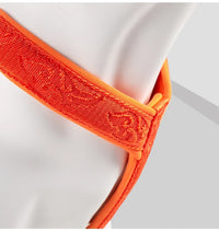 Trail Runner No-Pull Dog Harness – Neoprene Padded | PuppyPaw™