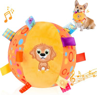 Soft Plush Dog Ball Toy – Bell & Label Chew | PuppyPaw™