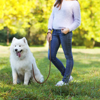 Hands-Free Dog Leash – Waist Belt Running Lead | PuppyPaw™