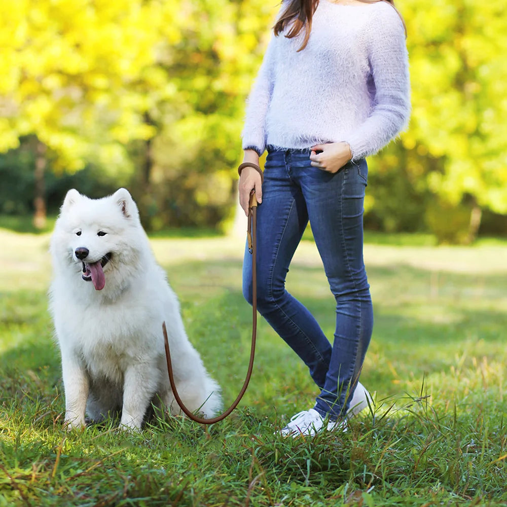 Hands-Free Dog Leash – Waist Belt Running Lead | PuppyPaw™