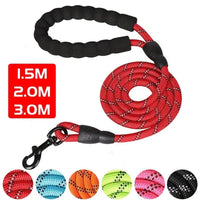 Heavy Duty Dog Leash – Padded Handle & Reflective | PuppyPaw™