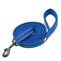 Reflective Padded Dog Leash – 3M Mesh Handle | PuppyPaw™