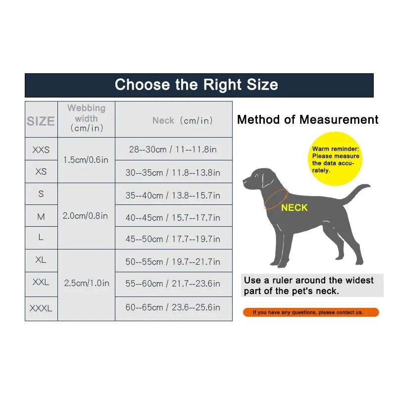 Reflective Nylon Dog & Cat Collar – Neoprene Padded | PuppyPaw™