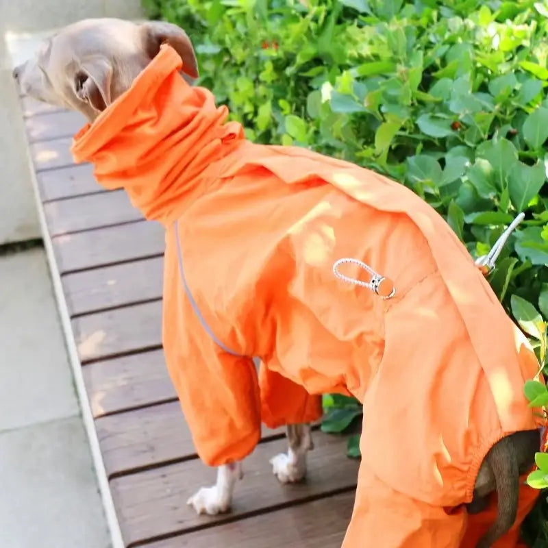 Dog Raincoat – Windproof Jacket for Whippets | PuppyPaw™