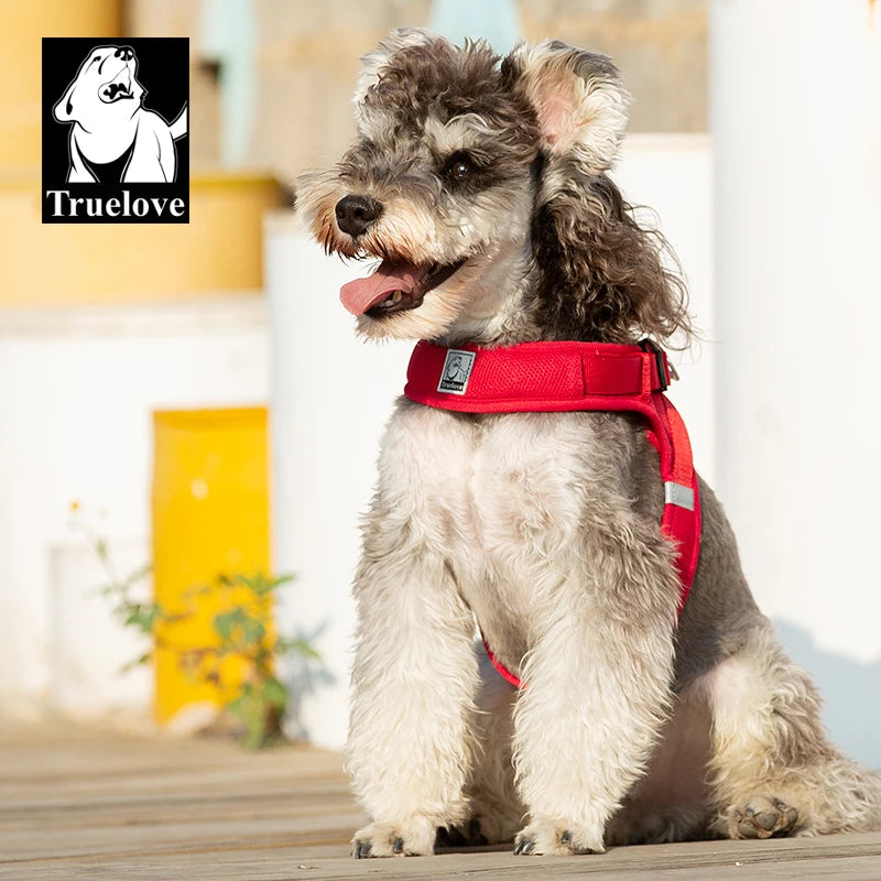 Step-In Dog Harness – Cooling Air-Mesh | PuppyPaw™