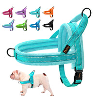Padded Dog Harness Vest – Reflective Winter Warm | PuppyPaw™