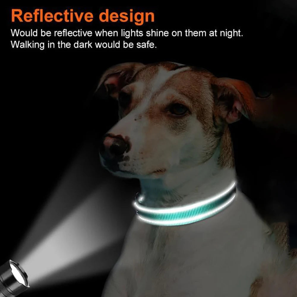 Reflective Dog Collar – Built-In AirTag Slot | PuppyPaw™