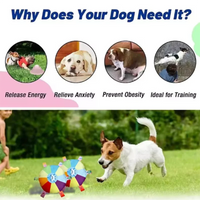 Plush Bell Dog Toy – Squeaky Cartoon Character | PuppyPaw™