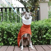 Winter Turtleneck Dog Coat – Waterproof Cotton | PuppyPaw™
