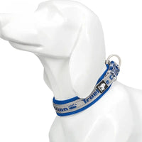 Reflective Nylon Dog & Cat Collar – Neoprene Padded | PuppyPaw™