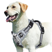 No-Pull Dog Vest Harness – Padded & Adjustable | PuppyPaw™