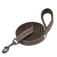 Reflective Padded Dog Leash – 3M Mesh Handle | PuppyPaw™