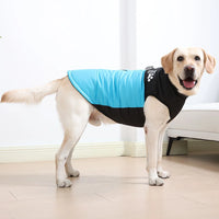 Windproof Waterproof Dog Jacket – Reflective | PuppyPaw™