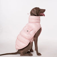 Padded Dog Down Jacket – Windproof High Collar | PuppyPaw™