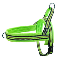 Padded Dog Harness Vest – Reflective Winter Warm | PuppyPaw™