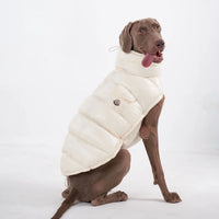 Padded Dog Down Jacket – Windproof High Collar | PuppyPaw™