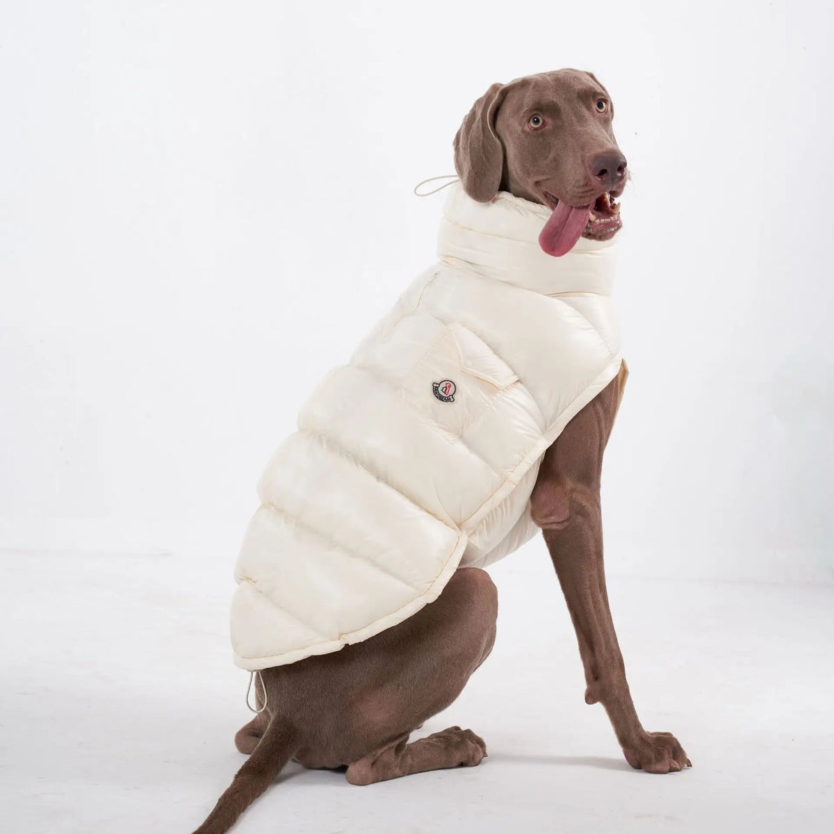 Padded Dog Down Jacket – Windproof High Collar | PuppyPaw™