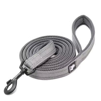Reflective Padded Dog Leash – 3M Mesh Handle | PuppyPaw™