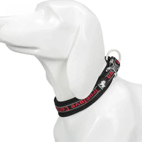 Reflective Nylon Dog & Cat Collar – Neoprene Padded | PuppyPaw™