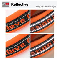 Reflective Nylon Dog & Cat Collar – Neoprene Padded | PuppyPaw™
