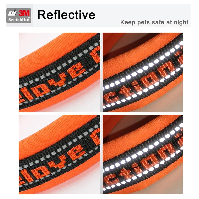 Reflective Nylon Dog & Cat Collar – Neoprene Padded | PuppyPaw™