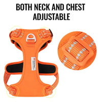 No-Pull Reflective Dog Harness – Back Handle | PuppyPaw™