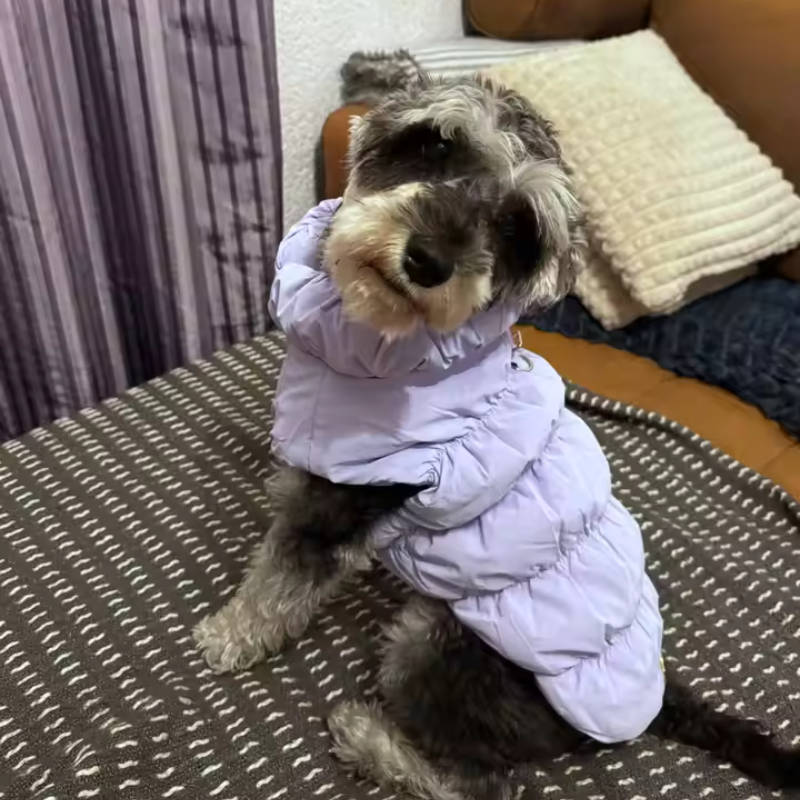 Soft Winter Dog Coat – Fleece Pullover | PuppyPaw™