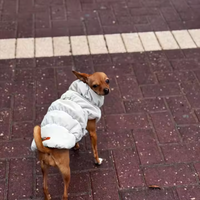 Soft Winter Dog Coat – Fleece Pullover | PuppyPaw™