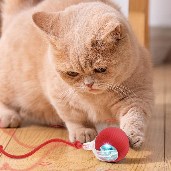 PuppyPaw™ Automatic Interactive Ball