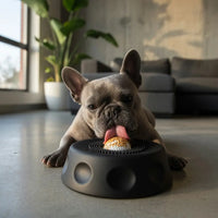 PuppyPaw™ Anti-Anxiety Lick Bowl