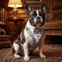 Dog Tuxedo Suit – Formal Wear with Bowtie | PuppyPaw™